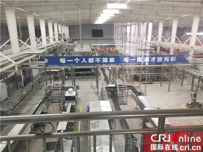 外国网红畅饮东西湖 品尝科技酿造的“幸福”味道