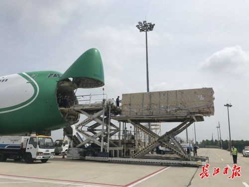 每月提供2000吨航空运力 武汉重开这条洲际全货运航线