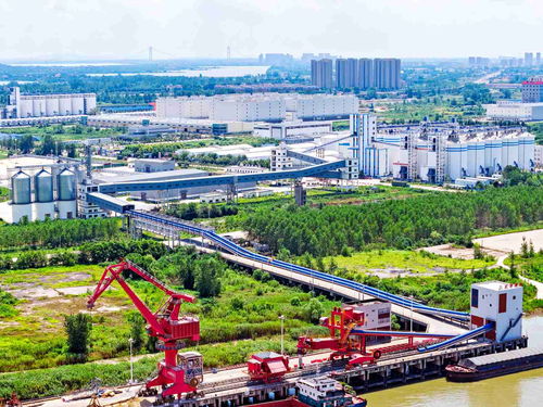 武汉新洲 华中 食谷 呼之欲出 武汉市人民政府门户网站